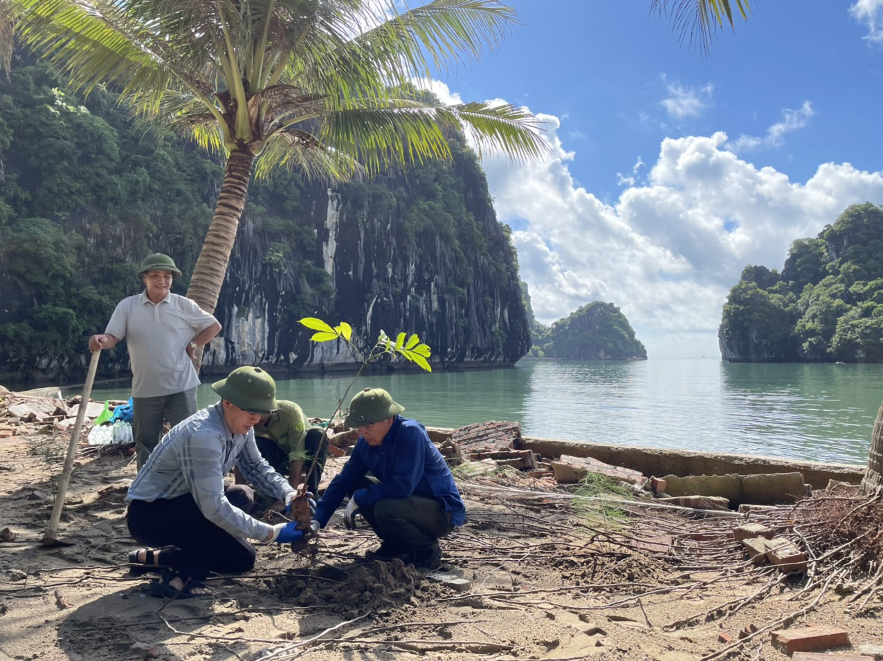 Những cây bản địa ở Cát Bà được lựa chọn để trồng, phục hồi sinh thái. Ảnh: Đinh Mười.