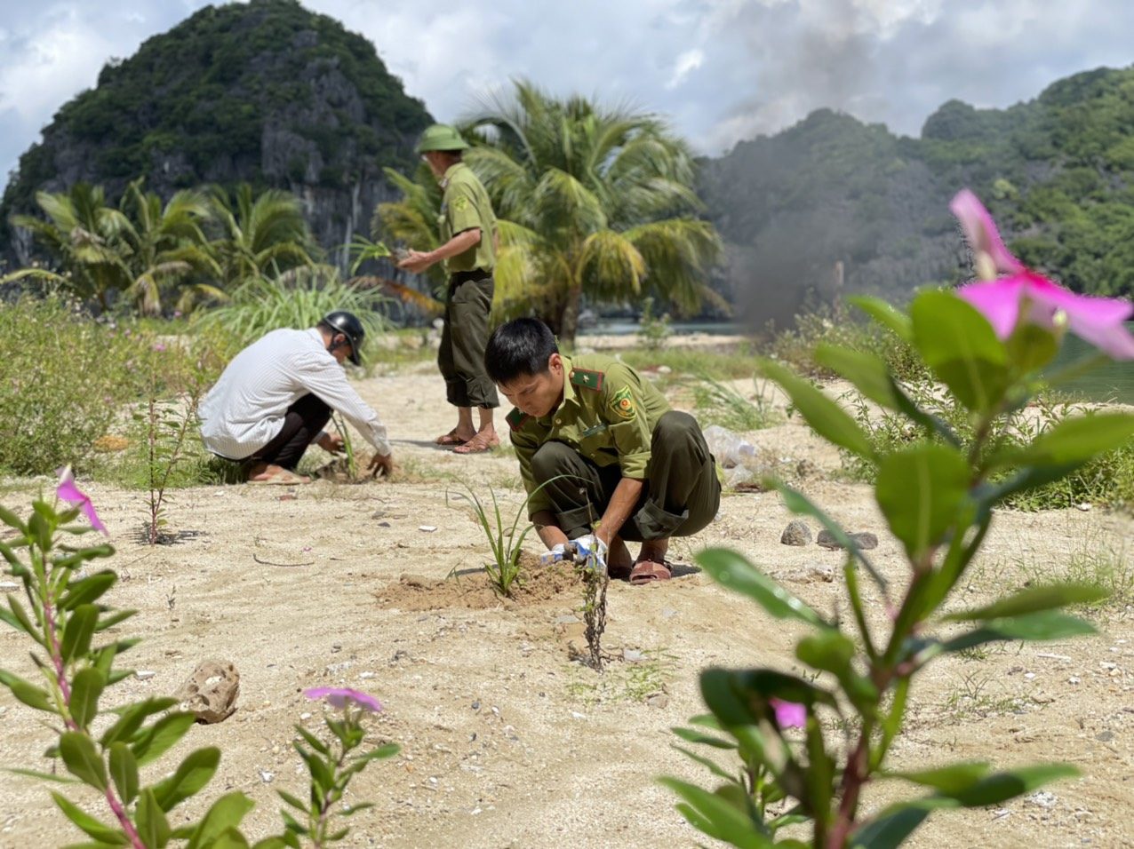 Lực lượng kiểm lâm Vườn quốc gia Cát Bà trồng cây tại hòn Nam Cát. Ảnh: Đinh Mười.