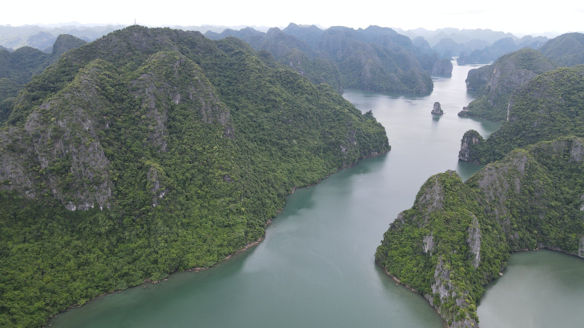 Vườn quốc gia Cát Bà có hệ sinh thái rừng trên biển độc đáo của Việt Nam. Ảnh: Nhật Quang