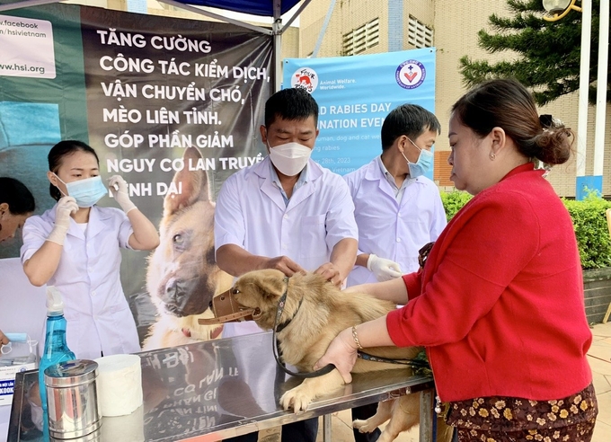 Sở NN-PTNT tỉnh đã bố trí 200 liều vacxin dại để tiêm miễn phí cho chó, mèo trên địa bàn. Ảnh: Đăng Lâm.