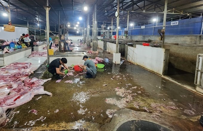 The Dak Lak Animal Husbandry and Veterinary Sub-Department has strengthened inspection of slaughterhouses to ensure compliance with provisions. Photo: Minh Quy.