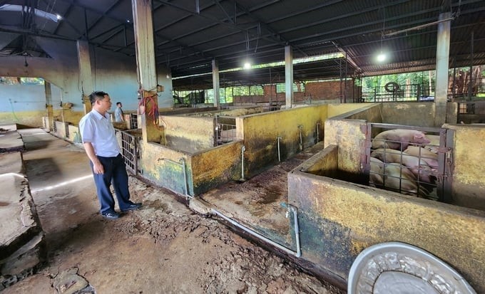 Slaughter facilities wish to move out of residential areas but do not have a land fund. Photo: Minh Quy.