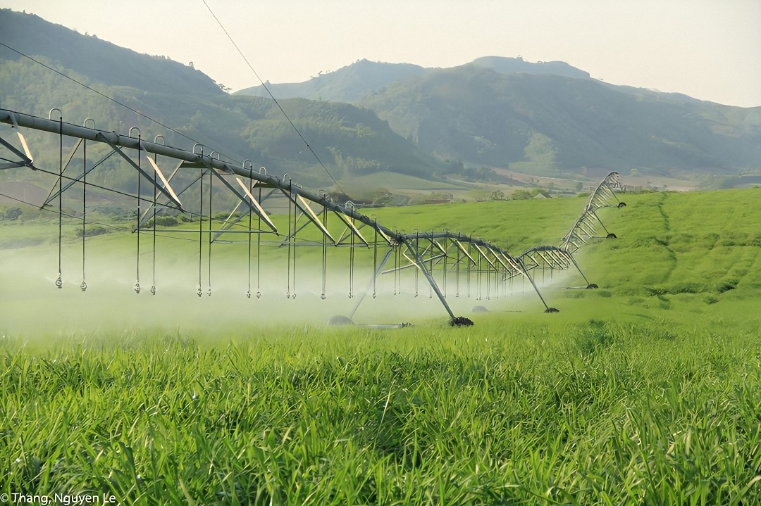 TH Group has dozens of giant and modern irrigation arms serving to irrigate large raw material fields.