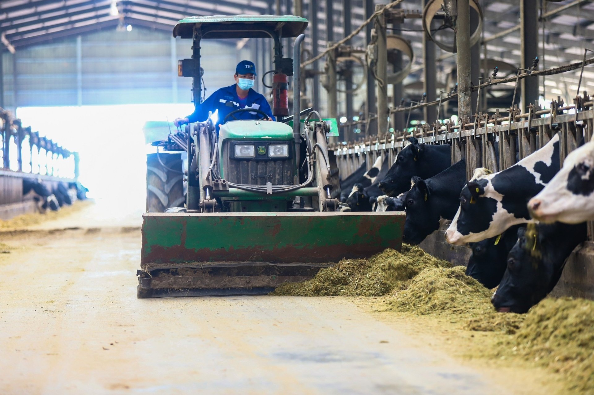 Feed formulas and diets for each group of dairy cows are built using the world's leading advanced nutritional software.