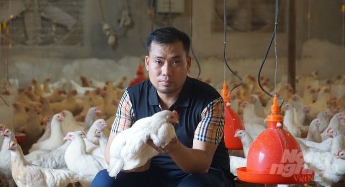 Large-scale livestock farming in the direction of biosafety is helping many people become well-off. Photo: Quoc Toan.