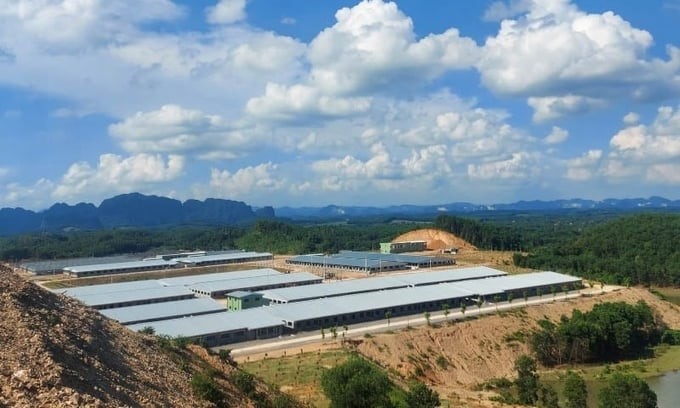 High-tech livestock project of Xuan Thien Group in Thanh Hoa. Photo: Quoc Toan.