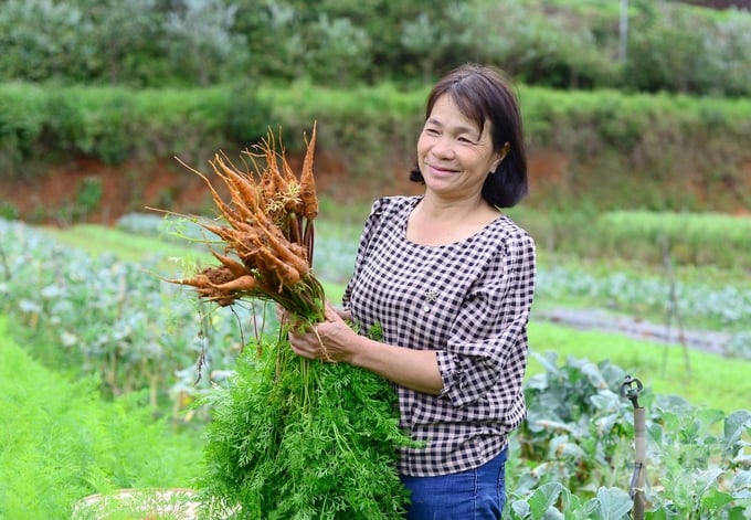 Sau nhiều năm kiên trì sản xuất rau hữu cơ, bà Lê Thị Thu Hậu đã đạt thành quả xứng đáng. Ảnh: Minh Hậu.