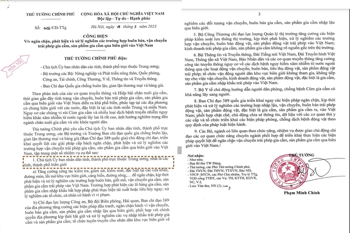 Tại Công điện số 426/CĐ-TTg, Thủ tướng Chính phủ yêu cầu Chủ tịch UBND các tỉnh, thành phố trực thuộc trung ương, nhất là các tỉnh, thành phố biên giới chủ động chỉ đạo, triển khai quyết liệt các giải pháp cấp bách ngăn chặn, phát hiện và xử lý nghiêm các trường hợp vận chuyển trái phép gia cầm, sản phẩm gia cầm qua biên giới vào Việt Nam. Ảnh: PV.