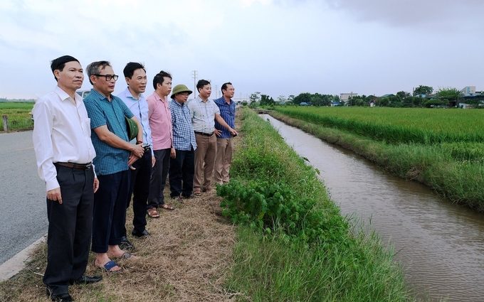 Leaders of the Department of Crop Production and the Department of Agriculture and Rural Development of Nam Dinh examined the influence of heavy rains on production. Photo: Bao Thang.