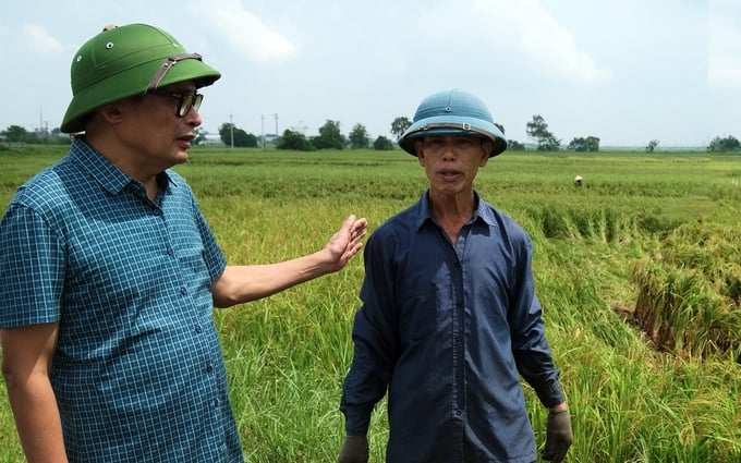 Cục trưởng Cục Trồng trọt Nguyễn Như Cường (trái) động viên người dân khắc phục khó khăn sau mưa úng. Ảnh: Bảo Thắng.