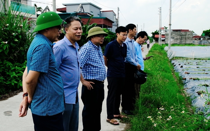 Đoàn công tác của Cục Trồng trọt cùng lãnh đạo Chi cục Trồng trọt và BVTV Thái Bình kiểm tra tình hình sản xuất rau màu sau mưa lớn. Ảnh: Bảo Thắng.