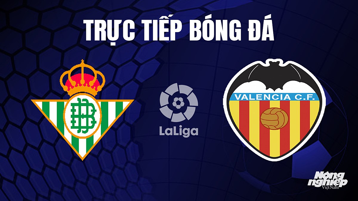 Trực tiếp bóng đá La Liga 2023/24 giữa Real Betis vs Valencia hôm nay 2/10/2023