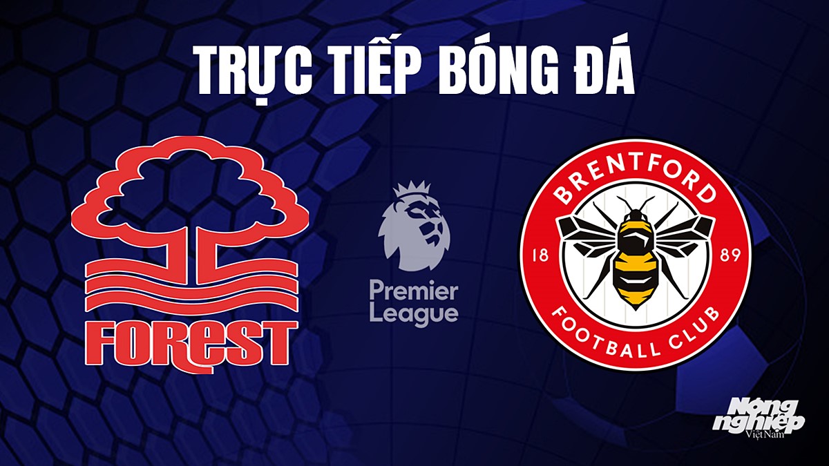 Trực tiếp bóng đá Ngoại hạng Anh giữa Nottingham Forest vs Brentford hôm nay 1/10/2023