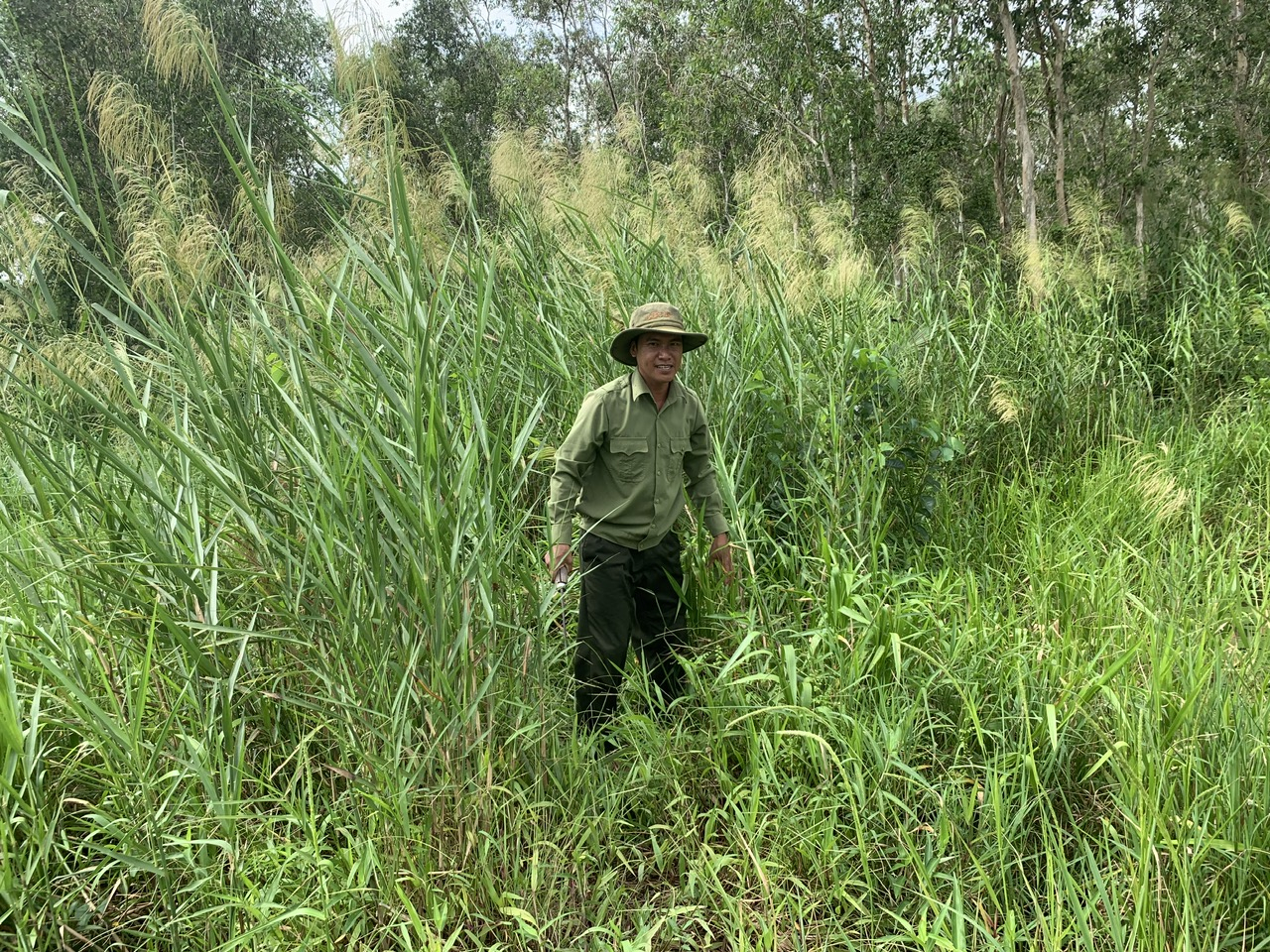 Ông Phạm Minh Tâm, Đội trưởng đội T19, VQG U Minh Hạ đang làm nhiệm vụ. Ảnh: Trọng Linh.