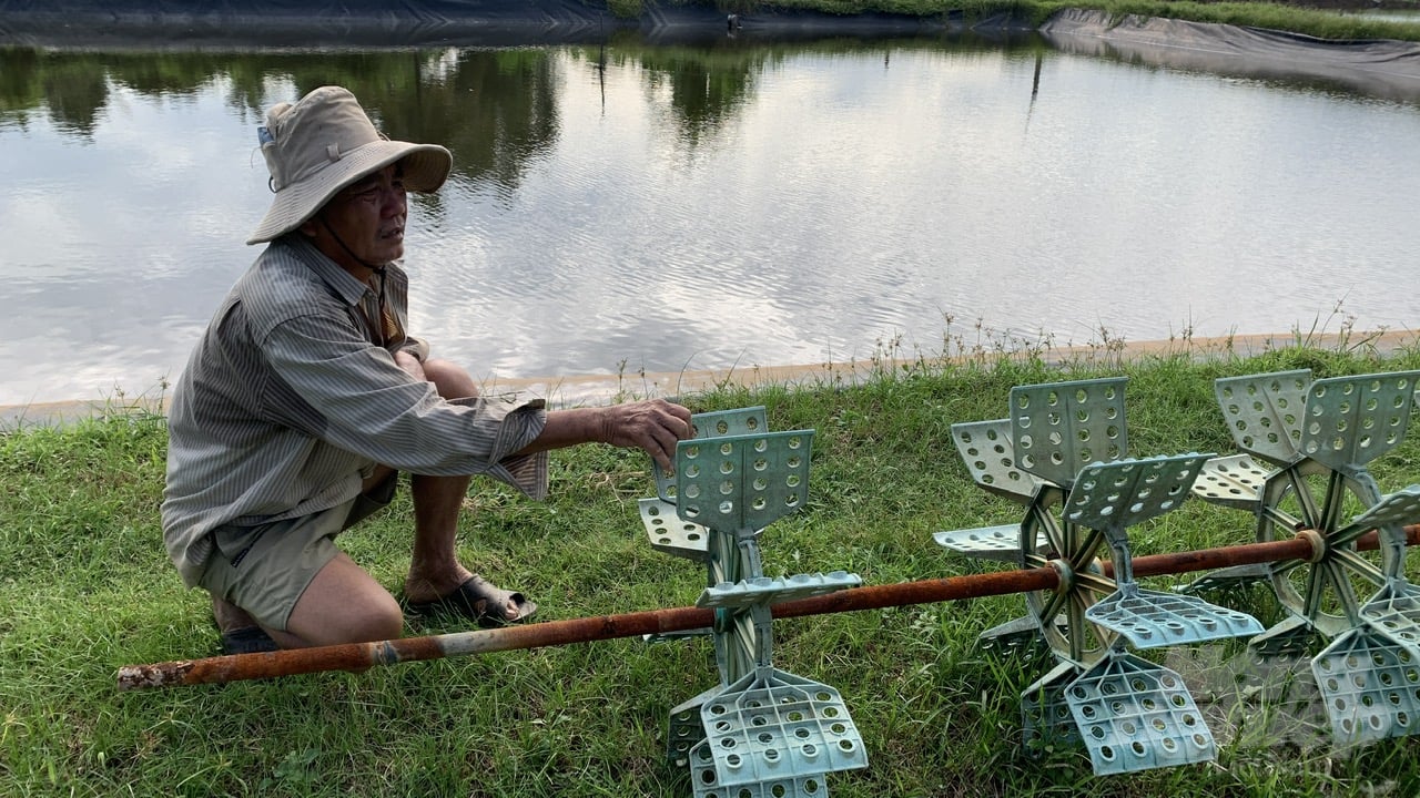 Bị thiệt hại do dịch bệnh cùng giá cả tuột dốc nhiều nông dân nuôi tôm tại Trà Vinh đã quyết định treo ao. Ảnh: Hồ Thảo.