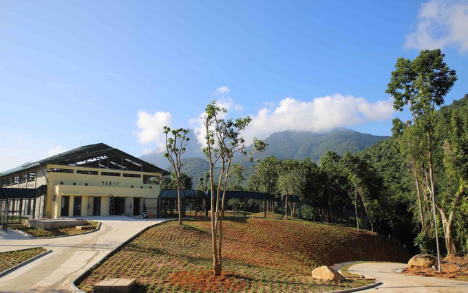 Vietnam Bear Rescue Center II located in Bach Ma National Park has completed construction of its facilities. Photo: Animals Asia.