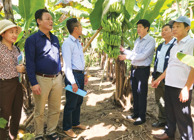 Đoàn kiểm tra của Sở Khoa học - Công nghệ và Trung tâm Khuyến nông Quảng Trị thăm mô hình. Ảnh: Việt Toàn.