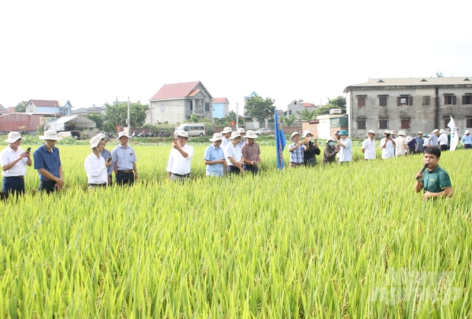 Đông đảo các đại biểu tham quan, đánh giá cao giống lúa VNR20 của Vinaseed tại Hiệp Hòa (Bắc Giang). Ảnh: Trung Quân.
