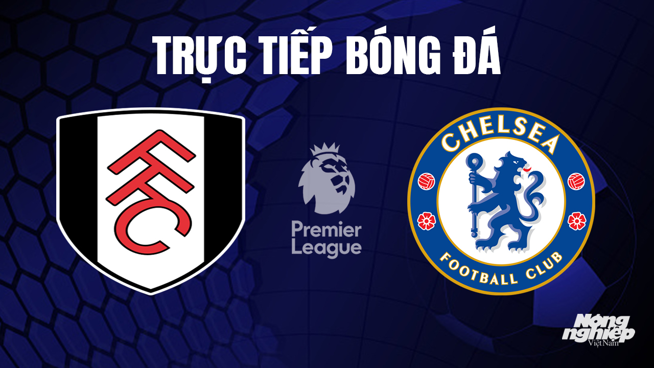 Trực tiếp bóng đá Ngoại hạng Anh giữa Fulham vs Chelsea hôm nay 3/10/2023