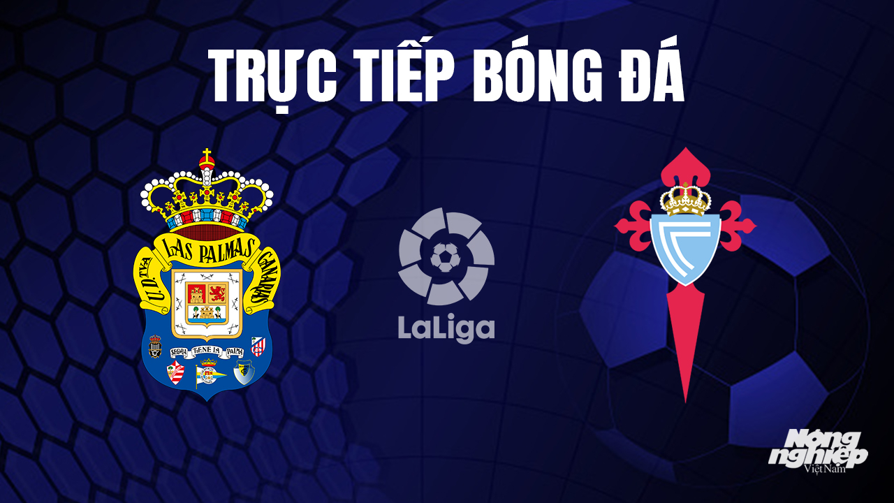 Trực tiếp bóng đá La Liga 2023/24 giữa Las Palmas vs Celta Vigo hôm nay 3/10/2023