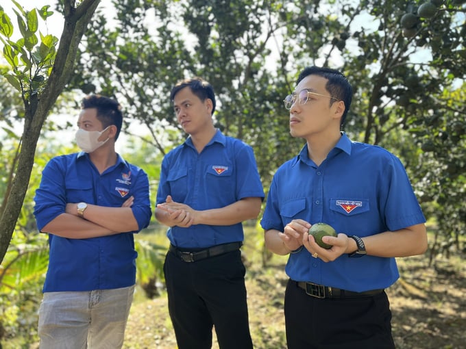 Đoàn viên, thanh niên được tập huấn về quy trình chăm sóc vườn cây theo tiêu chuẩn VietGAP. Ảnh: Vũ Ngọc Hòa.