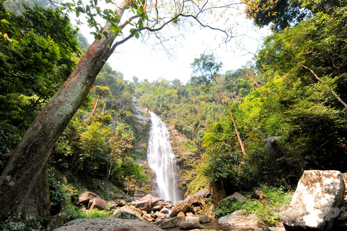 Pu Mat National Park is the core area of the Western Nghe An, home to many endangered and rare wildlife species. Photo: Anh Khoi.