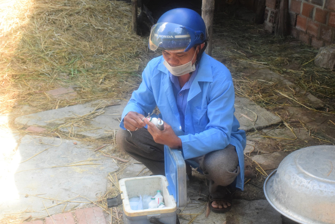 The village animal health system in Binh Dinh province was abolished on September 1, 2023. The district-level animal health staff has since been tasked with the responsibility of livestock and poultry vaccination to significant challenges. Photo: V.D.T.