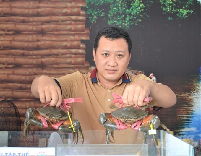 The Ca Mau crab brand is famous at home and abroad. Photo: TL.