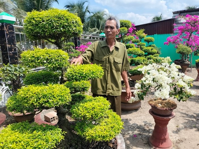 It is expected that in two years (2022 - 2023), Ben Tre province will organize 126 classes of agricultural vocational training, focusing on some occupations such as techniques for planting and caring for coconut trees and ornamental plants; techniques for raising cows, goats, giant freshwater prawns, whiteleg shrimp, etc. Photo: Minh Dam.