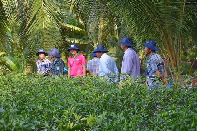 Starting a business in the agricultural sector is no longer too difficult. Photo: Minh Dam.