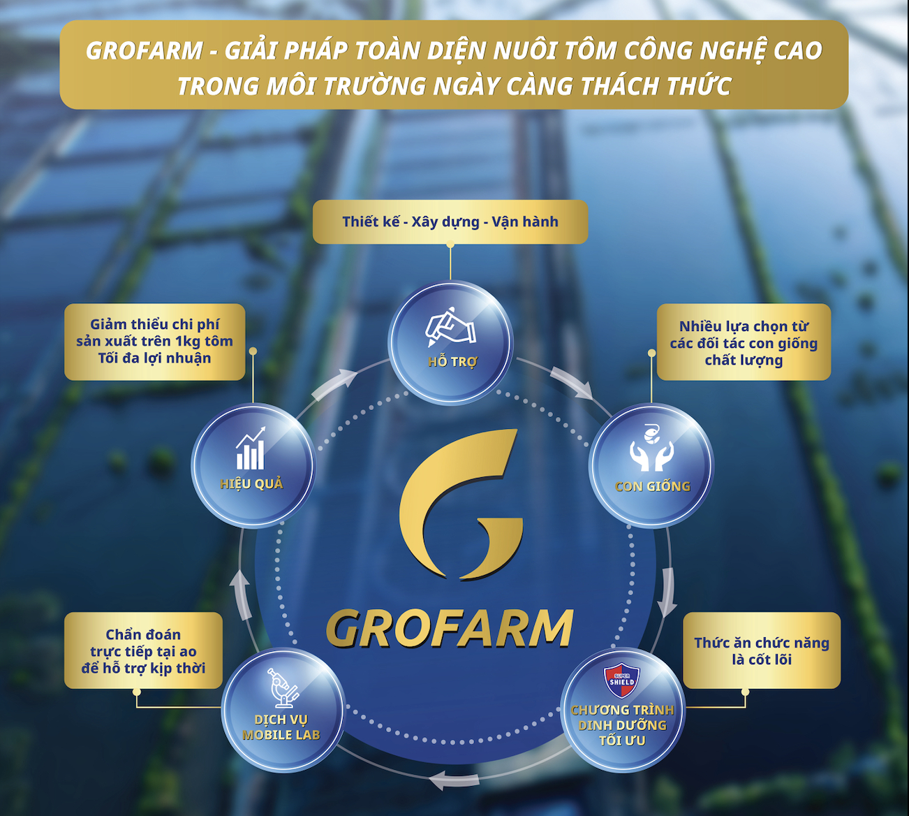 GROFARM by GROBEST Company is a comprehensive high-tech shrimp farming solution in the increasingly challenging environment.