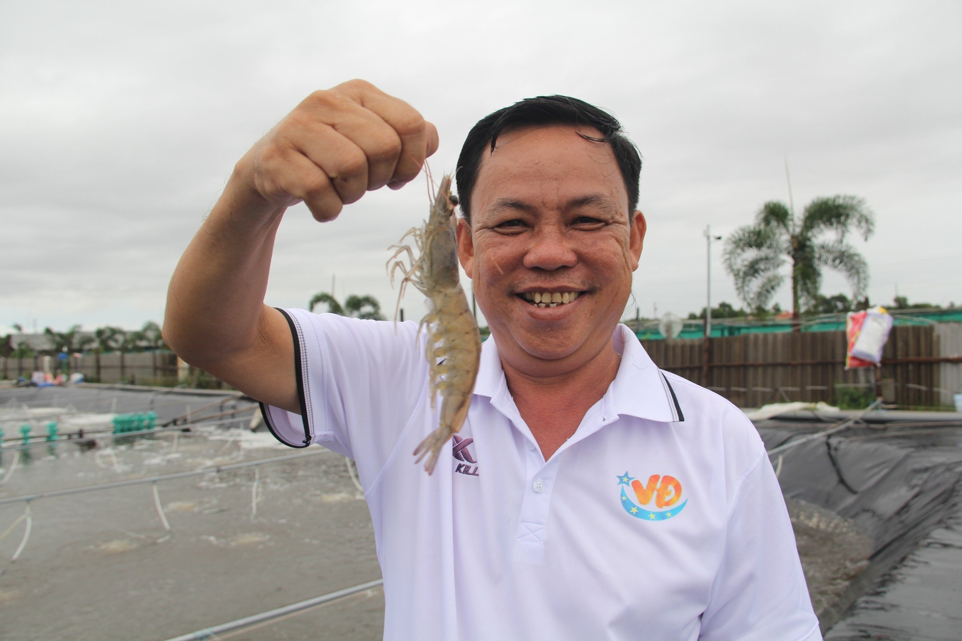 Anh Ngô Văn Đệ ở Trà Vinh đạt doanh thu cao nhất trong số 100 nông dân tiêu biểu.