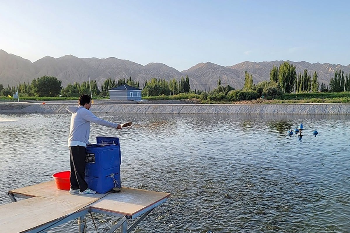 Công ty Shi Shi Xian nuôi trồng thủy hải sản ở bên rìa sa mạc ở Tân Cương. Ảnh: Hiệp hội Khoa học và Công nghệ Trung Quốc.