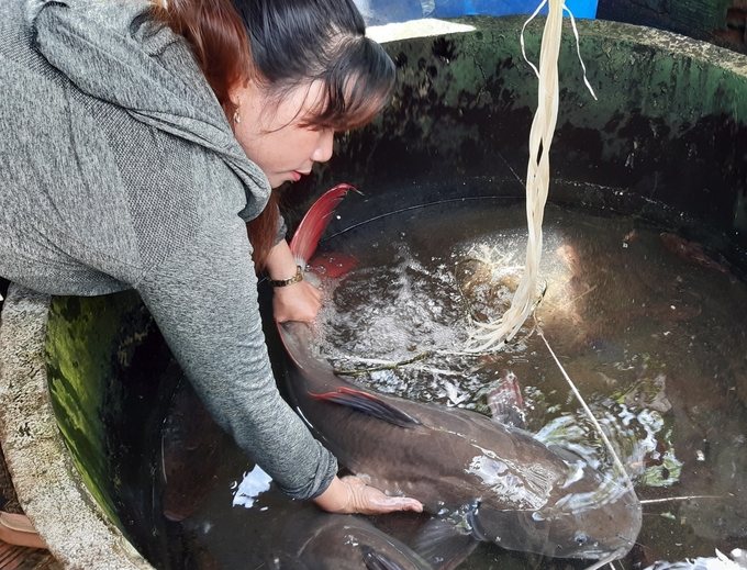 Hồng Trang (vợ Nghĩa) và con cá lăng nặng hơn 10kg. Ảnh: Đăng Lâm.