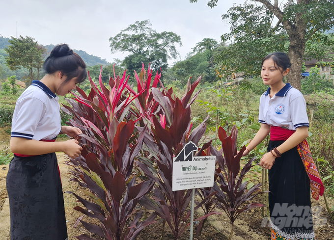 The participation of students and future generations will contribute to spreading the program's goals widely. Photo: Khoi An.