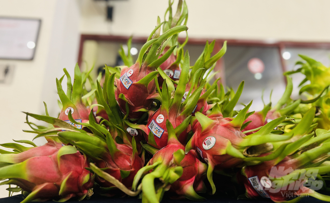 Dragon fruit can be deeply processed into a variety of products, but this potential has not been exploited effectively at present. Photo: Nguyen Thuy.