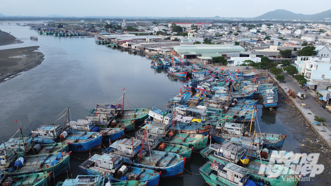 Many fishing vessels in Ba Ria - Vung Tau province remain unregistered and lack a vessel monitoring system. However, a significant portion of these vessels either currently resides in an inactive state along the shoreline or has been engaged in extended offshore operations without returning to port. Photo: MS.