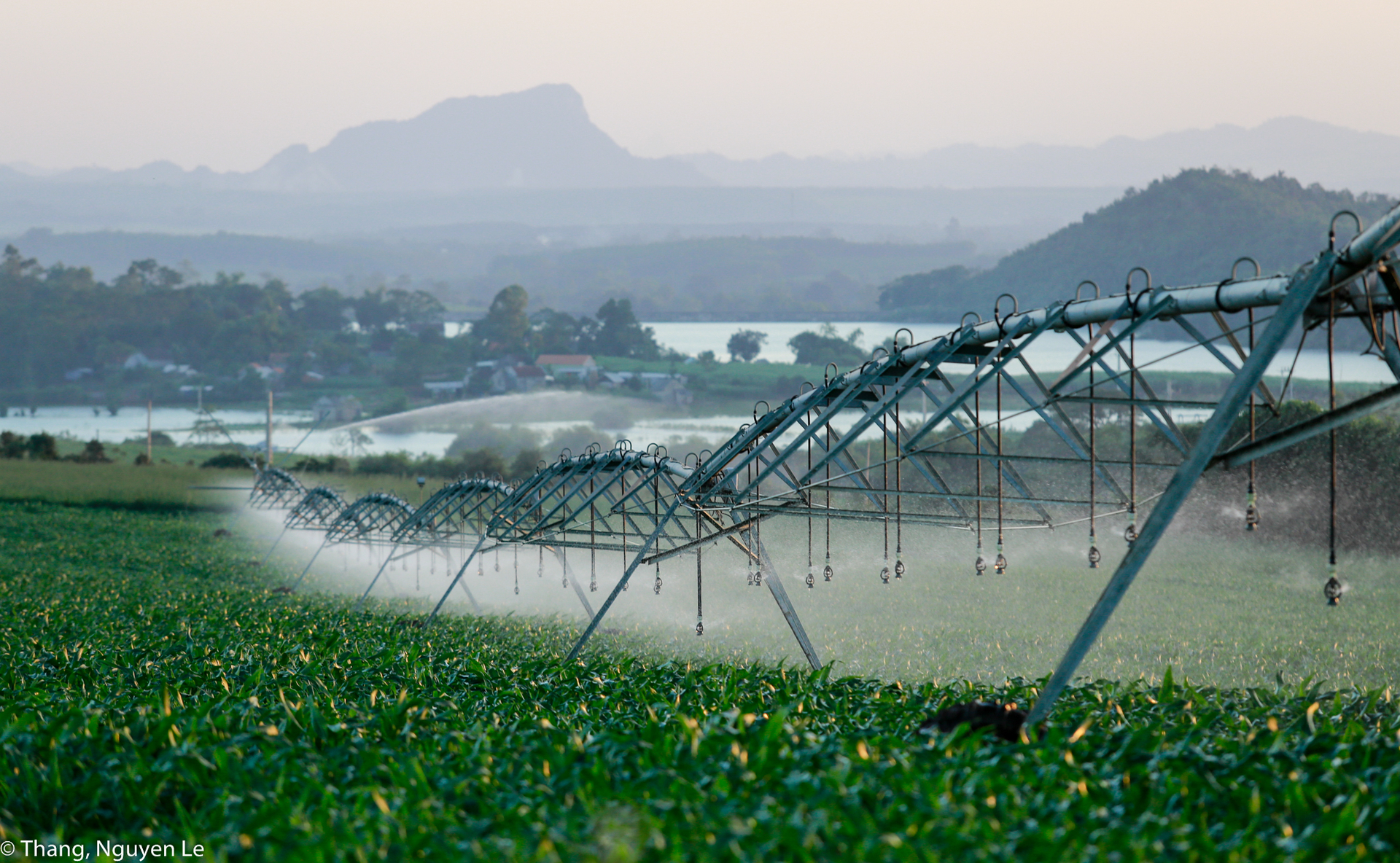 TH uses high-tech automatic irrigation rigs, helping to water evenly and save water.