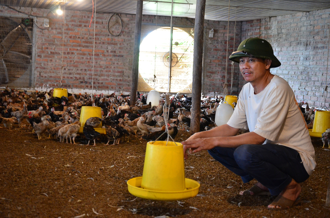 Mô hình nuôi gà an toàn sinh học ở huyện Chương Mỹ. Ảnh: NNVN.