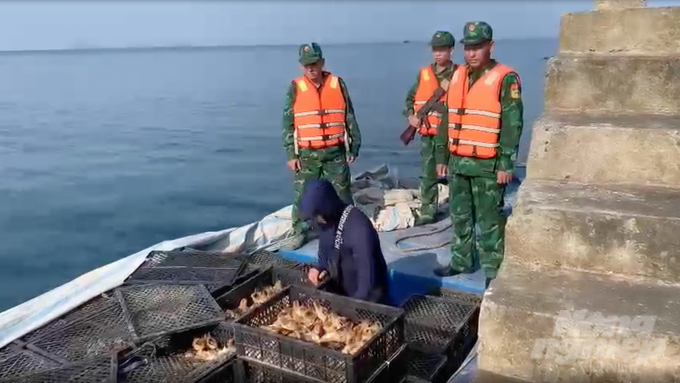 Lực lượng Biên phòng bắt giữ một xuồng chở trứng vịt lộn và 15.000 con gà không rõ nguồn gốc xuất xứ trên vùng biển Móng Cái.