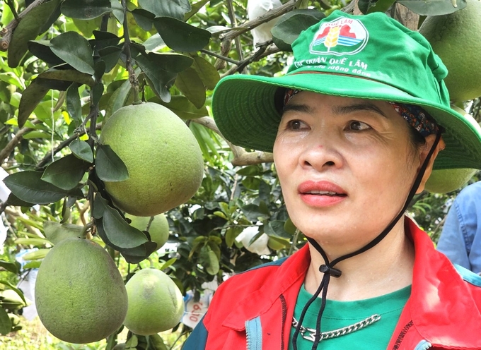 Bà Phạm Thị Hảo: 'Cuộc sống gia đình tôi thay đổi kể từ khi làm nông nghiệp hữu cơ'. Ảnh: Hoàng Anh.