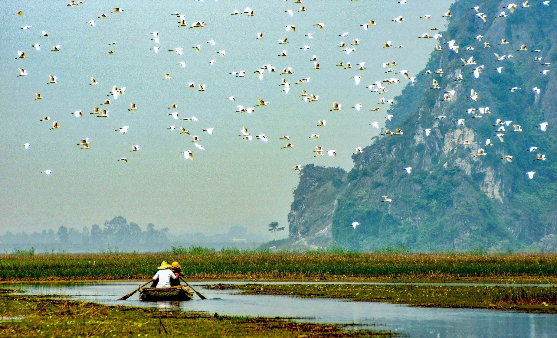 Vietnam is considered a country with high biodiversity. Photo: UNDP.