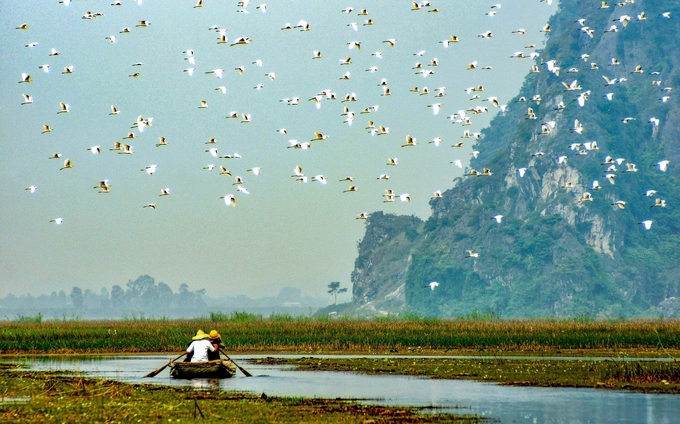 Việt Nam được đánh giá là quốc gia có tính đa dạng sinh học cao. Ảnh: UNDP.