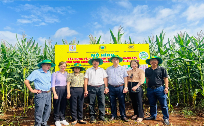 Lãnh đại Viện nghiên cứu ngô, Trung tâm khuyến nông tỉnh Đắk Lắk  và Công ty cổ phần phân bón Bình Điền thăm và lượng giá mô hình ngô sinh khối vụ HT 2023 tại Đắk Lắk.