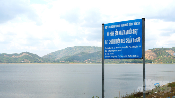 The direction of the Dong Nai province government is multiple value exploitation of reservoirs, thereby promoting the development of the regional economy. Photo: Le Binh. 