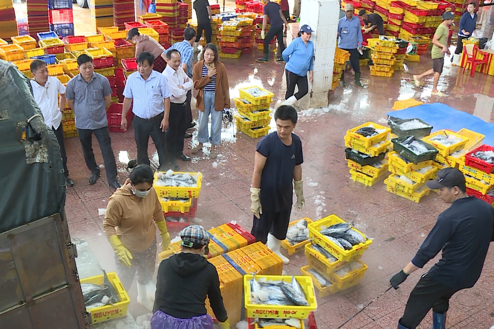 The working delegation of the Ministry of Agriculture and Rural Development inspected the work against IUU fishing violations at Quy Nhon Fishing Port (Binh Dinh). Photo: V.D.T.