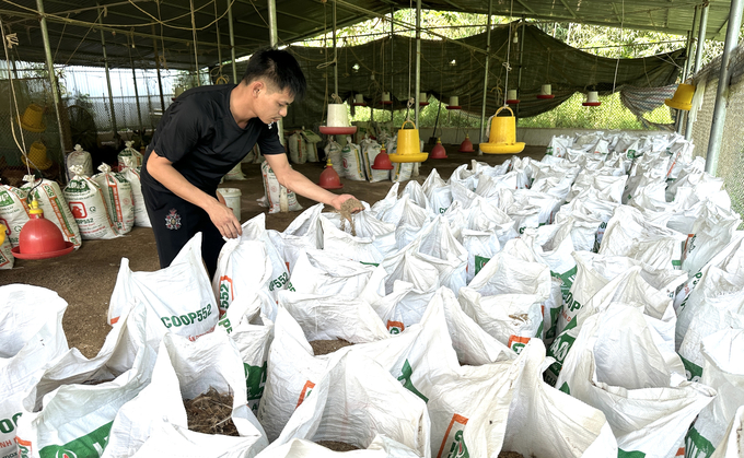 Sản xuất phân hữu cơ vi sinh vừa giúp gia đình anh Tịnh có thêm thu nhập, giải quyết vấn đề môi trường, mà còn cung cấp cho bà con trong xã trồng mướp đắng rừng hữu cơ. Ảnh: Quang Linh.