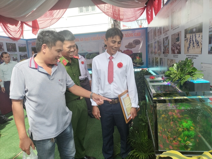 HTX Nông nghiệp cá cảnh Miền Tây có trên 100 thành viên đang làm giàu từ mô hình nuôi cá cảnh. Ảnh: Minh Đảm.