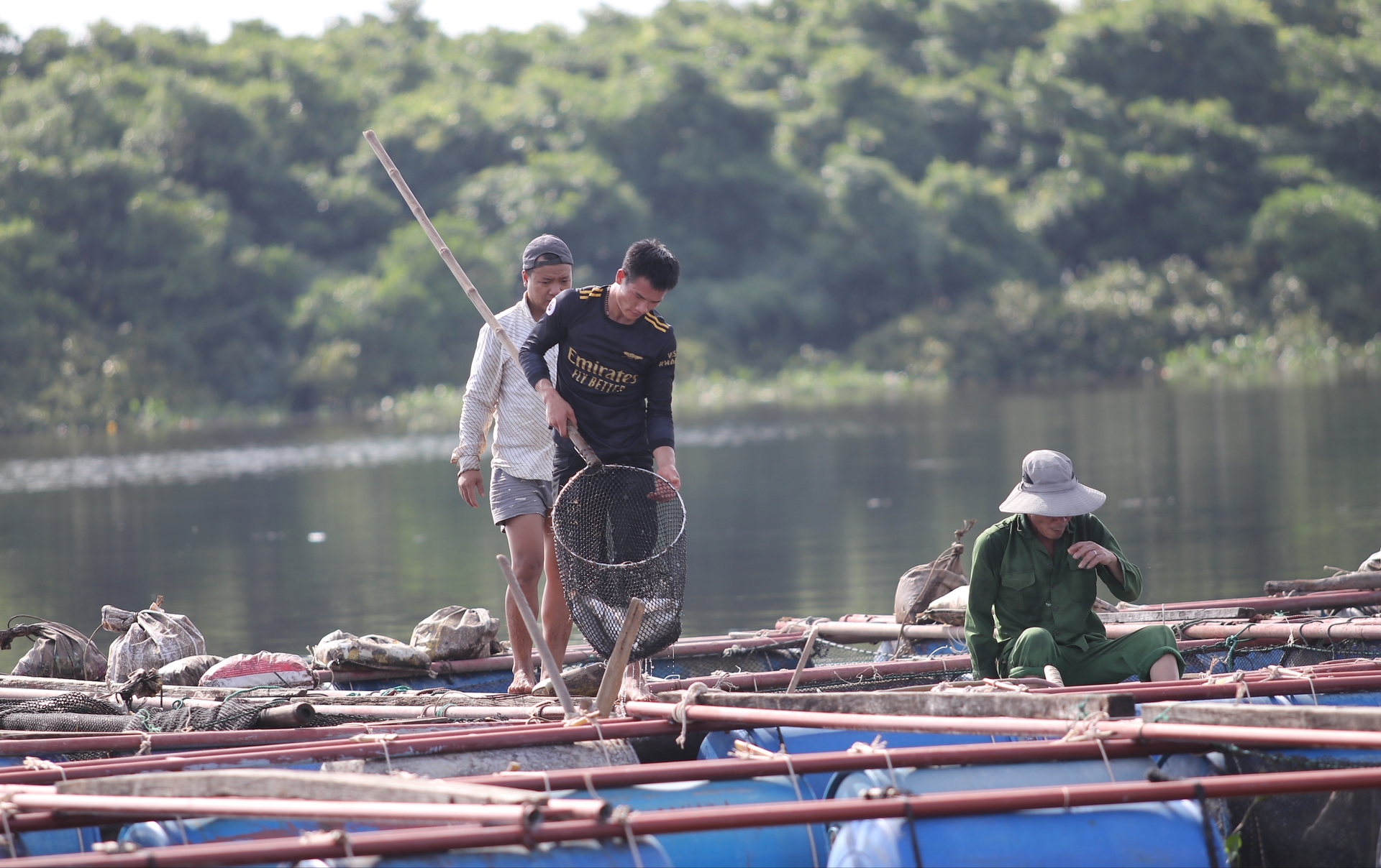 Người dân vớt cá chết lên bờ. Ảnh: Hưng Phúc.