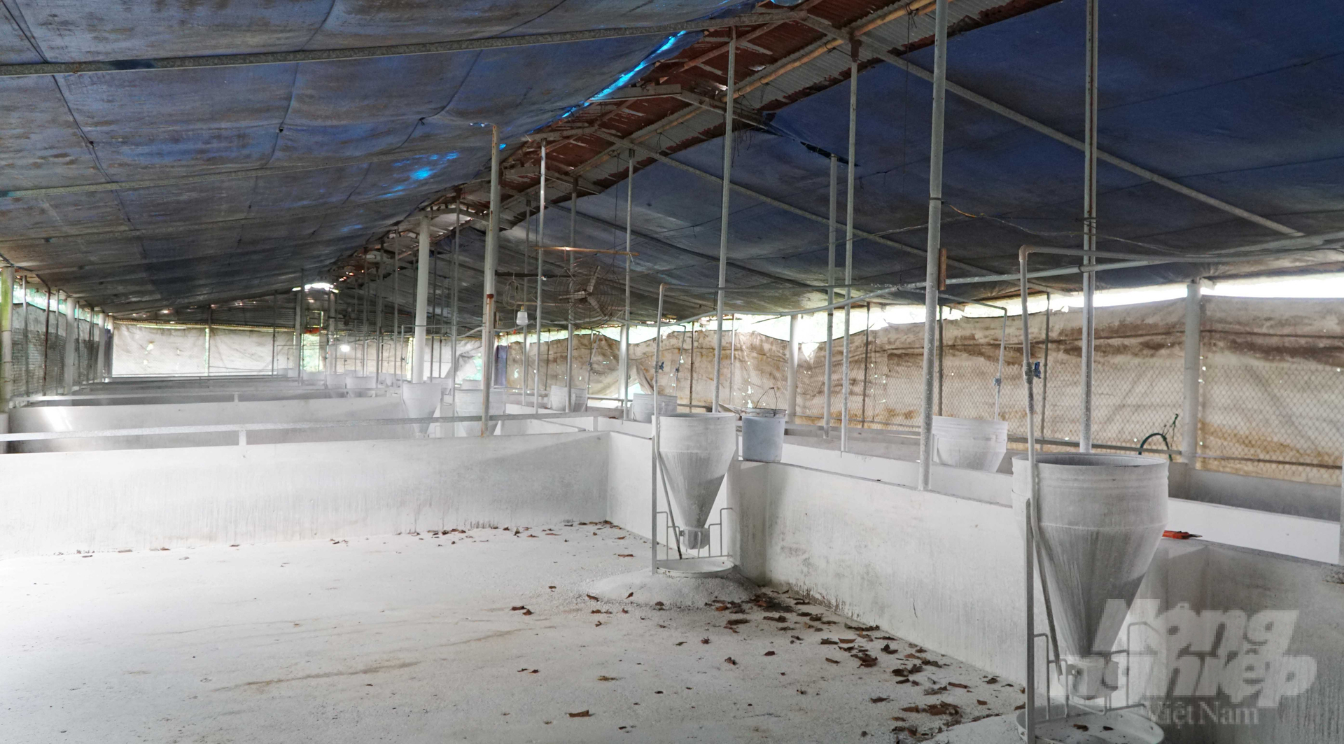 Hiện, có đến hàng trăm trang trại tại Đồng Nai đang bỏ trống chuồng do vướng quy định về đảm bảo môi trường, có nguy cơ không kịp tái đàn cho dịp Tết Nguyên đán. Ảnh: Lê Bình.